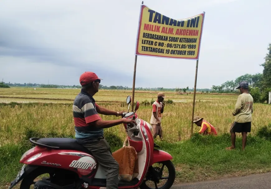 Merasa Haknya Diambil, Warga Jember Tanam Pohon Sengon di Tanah Sengketa