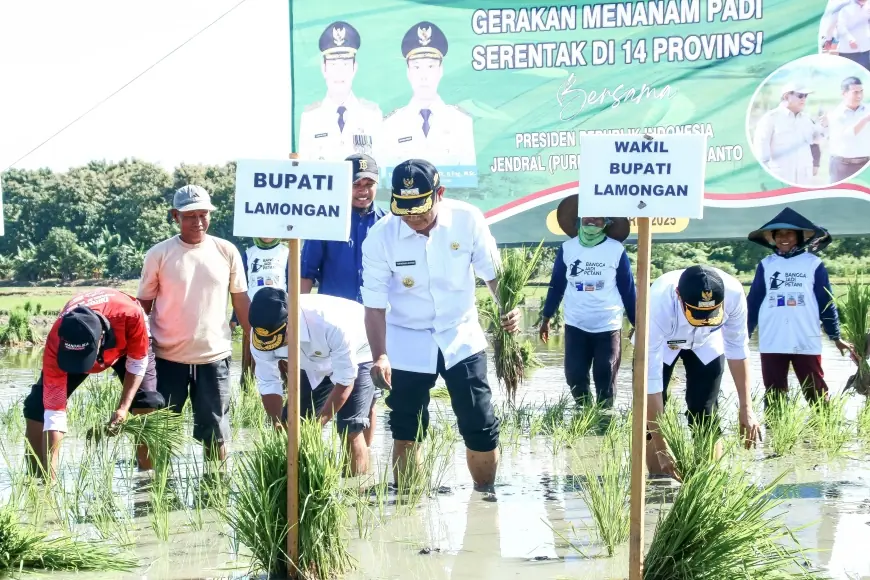 Wujudkan Swasembada Pangan, Petani Lamongan Genjot Tanam Padi Serentak