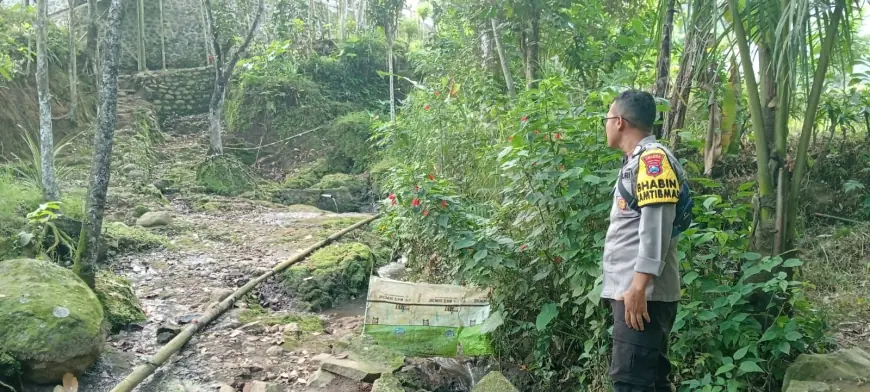 Pasutri di Jember Diserang Babi Hutan saat Mandi Bareng di Sumber Air