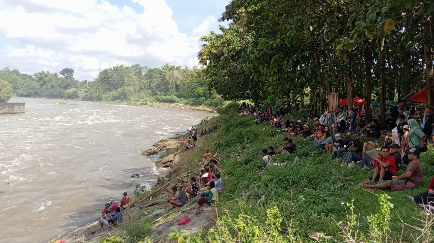 Flushing Dua Bendungan di Blitar, Warga Ramai-Ramai Berburu Ikan Mabuk