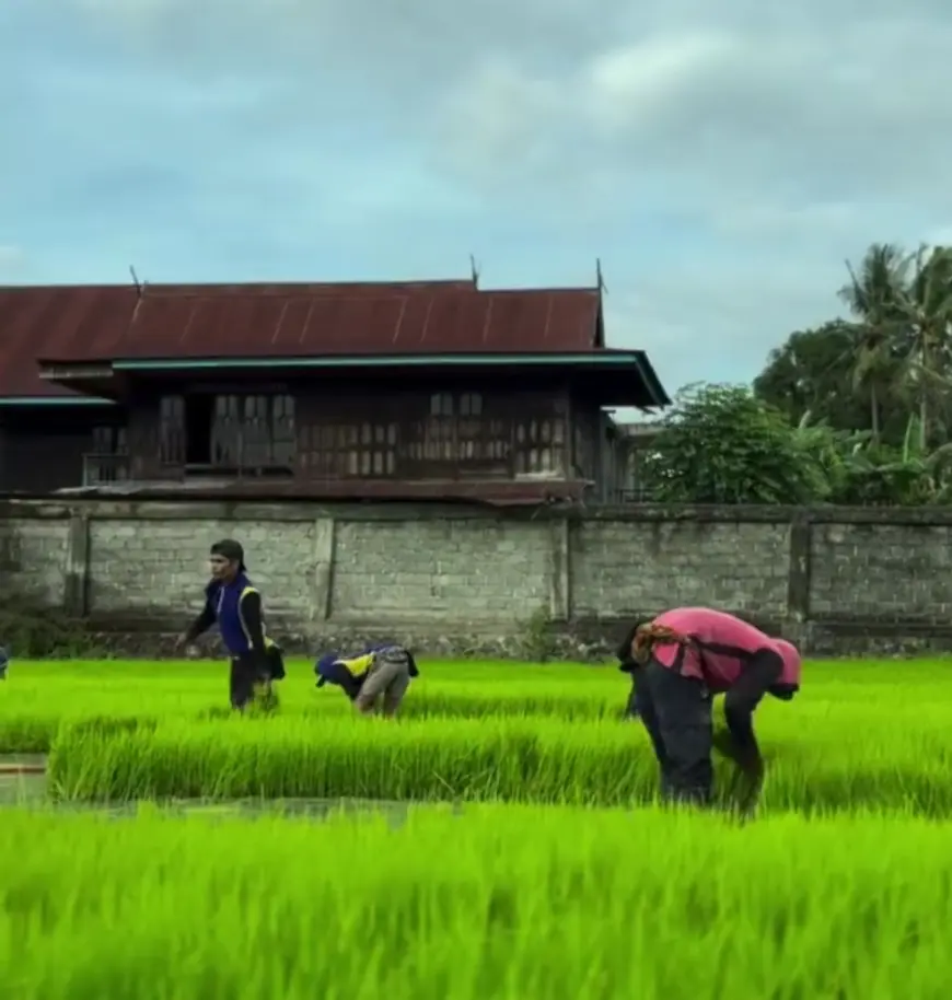 Produk Pangan Segar Kota Batu Masih Dihantui Residu Pestisida dan Logam Berat