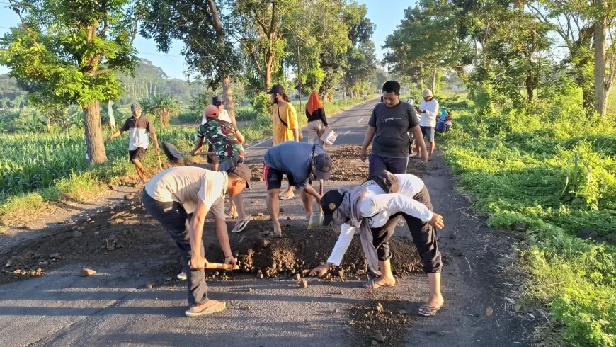 Lelah Tunggu Gerak Pemkab, Warga Jember Swadaya Perbaiki Jalan Kencong-Tanggul