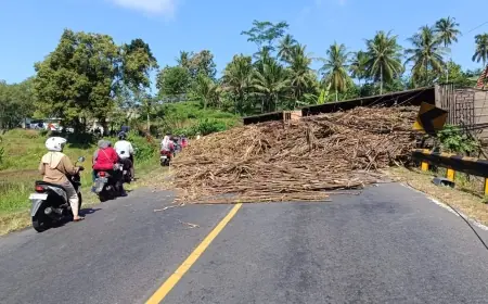 Truk Gandeng Bermuatan Tebu Terguling, Lalu Lintas di Jalur Blitar-Malang Terganggu