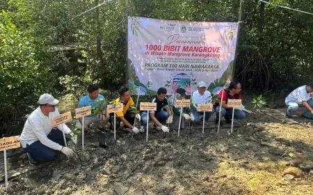 Pemkab Gresik Tanam 1.000 Bibit Pohon Mangrove di Wisata Karangkiring