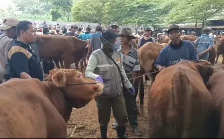 Jelang Iduladha, Pemkab Tuban Tingkatkan Pengawasan Hewan Ternak