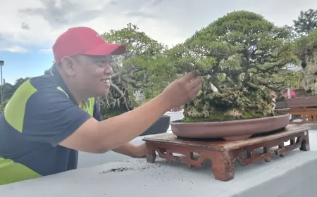 1.001 Bonsai se-Nusantara Beradu Cantik di Depan Kantor Bupati Gresik