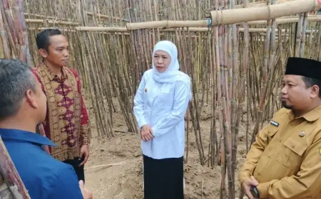 Jawa Timur Pemasok 50 Persen Kebutuhan Gula Nasional