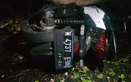 Tertimpa Pohon Saat Hujan dan Angin, Pengendara Motor di Tumpang Luka Ringan