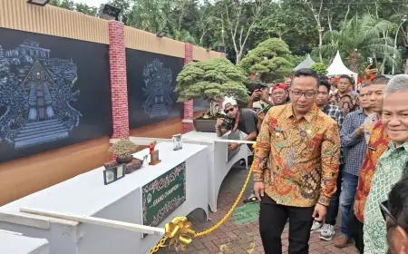 Perputaran Uang dari Kontes Bonsai di Gresik Diprediksi Capai Miliaran
