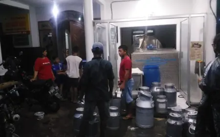 Produksi Susu di Dusun Brau Gunungsari Kota Batu Meningkat 4.000 Persen Pasca Wabah PMK