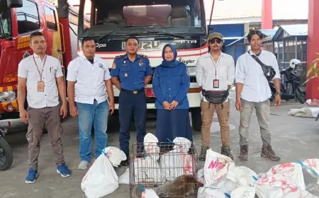 Alih Fungsi Lahan Diduga Jadi Penyebab Puluhan Hewan Liar Turun Gunung di Gresik