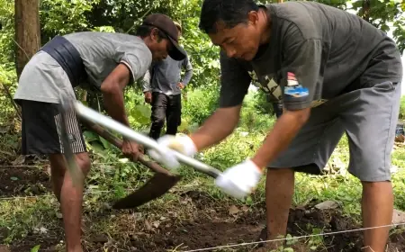 Titik Penemuan Pagar Kerajaan Majapahit di Mojokerto Mulai Diekskavasi
