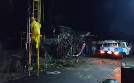 Hujan Lebat Disertai Angin, Rumah Warga Kota Blitar Tertimpa Pohon Tumbang