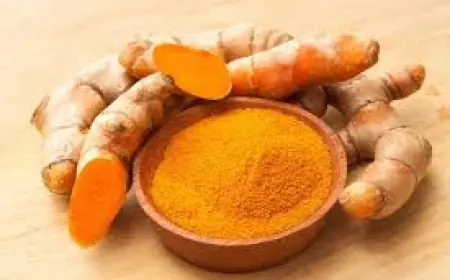 Yuk Intip Manfaat Tanaman Obat!