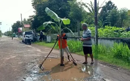 Pasca Kecelakaan Gegara Jalan Rusak, Warga Nganjuk Tanam Pohon Pisang di Tengah Jalan