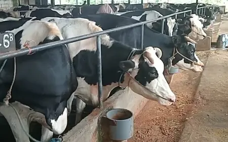 Disnak Jombang Gandeng Inspektorat Kawal Penyaluran Hibah Rp 4,5 Miliar kepada 64 Kelompok