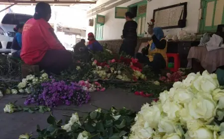 Petani dan Penjual Bunga di Kota Batu Kelabakan Hadapi Lonjakan Permintaan saat Panen Menurun