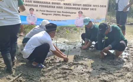 Perbaiki Lingkungan, Pemkab dan PT Petrokimia Gresik Tanam 5.300 Mangrove