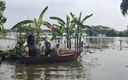 Puluhan Hektare Padi Terendam, Pemkab Gresik Diminta Lebih Serius Atasi Banjir
