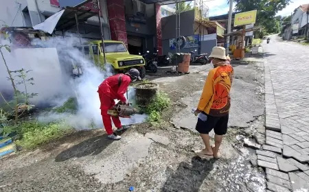 Kasus DBD Melonjak, Sejumlah Wilayah di Gresik Berstatus KLB