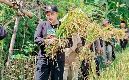 Bupati Pasuruan Apresiasi Penemuan Padi Rendah Gula oleh GP Ansor