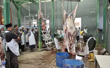 Jelang Iduladha 2025, Pemkab Tuban Gelar Pelatihan Juru Sembelih Halal