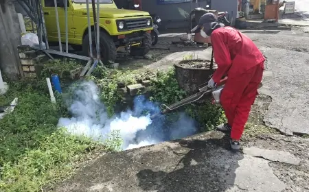 Penanganan Kasus DBD di Gresik Dikeluhkan Warga, Begini Penjelasan Dinkes