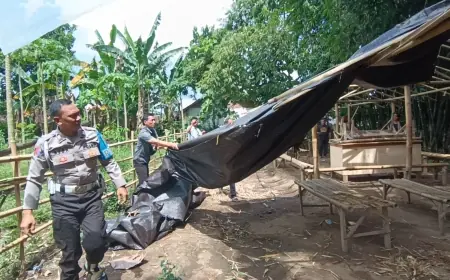 Berantas Perjudian, Polisi Bongkar 5 Arena Sabung Ayam di Jember