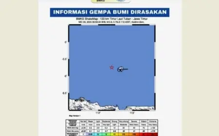 Gempabumi Tektonik M3,9 Guncang Bawean, Ini Imbauan BMKG