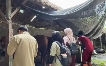 Ratusan Petugas Disebar, Wajib Pastikan Kondisi Hewan Kurban di Blitar dalam Kondisi Sehat
