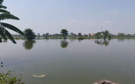 Ribuan  Hektare Sawah dan Tambak di Lamongan Terendam Banjir, Kerugian Capai Ratusan Juta