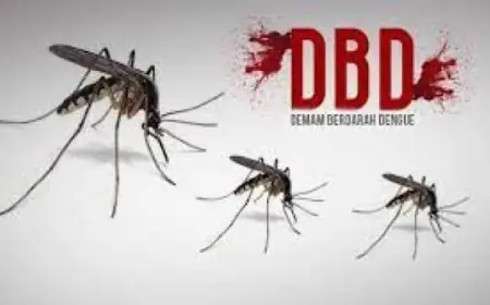 Kasus DBD di Tuban Melonjak, 463 Warga Terinfeksi dan 7 Meninggal Dunia