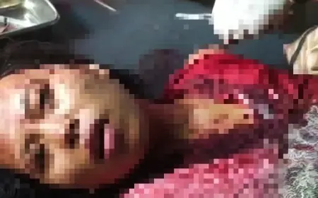 Diduga Masalah Batas Tanah, Kasun di Jember Tega Bacok Warganya Hingga Sekarat