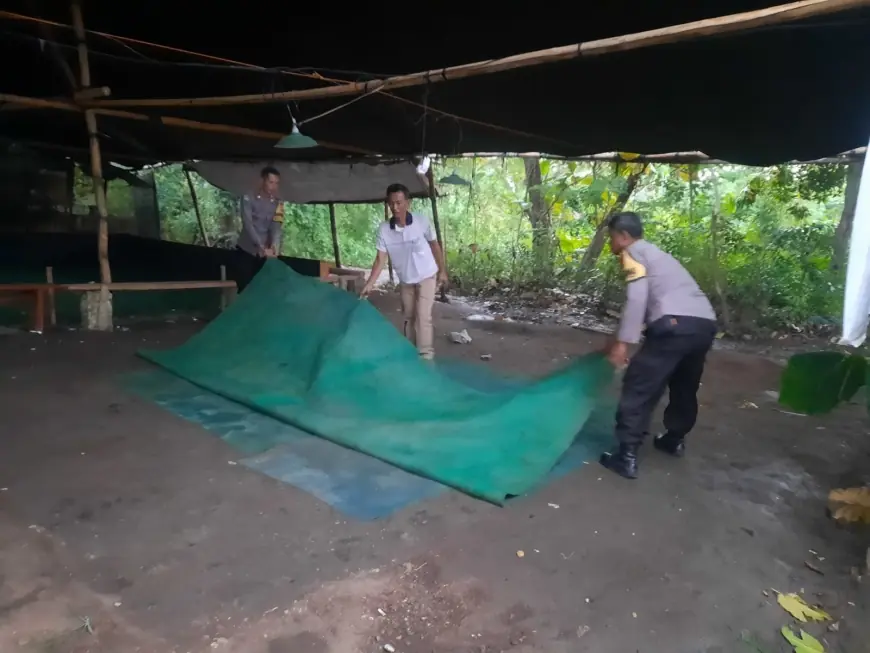 Operasi Selalu Bocor, Polres Nganjuk Istikamah Gagal Gerebek Sabung Ayam