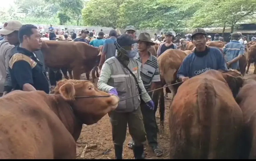 Jelang Iduladha, Pemkab Tuban Tingkatkan Pengawasan Hewan Ternak