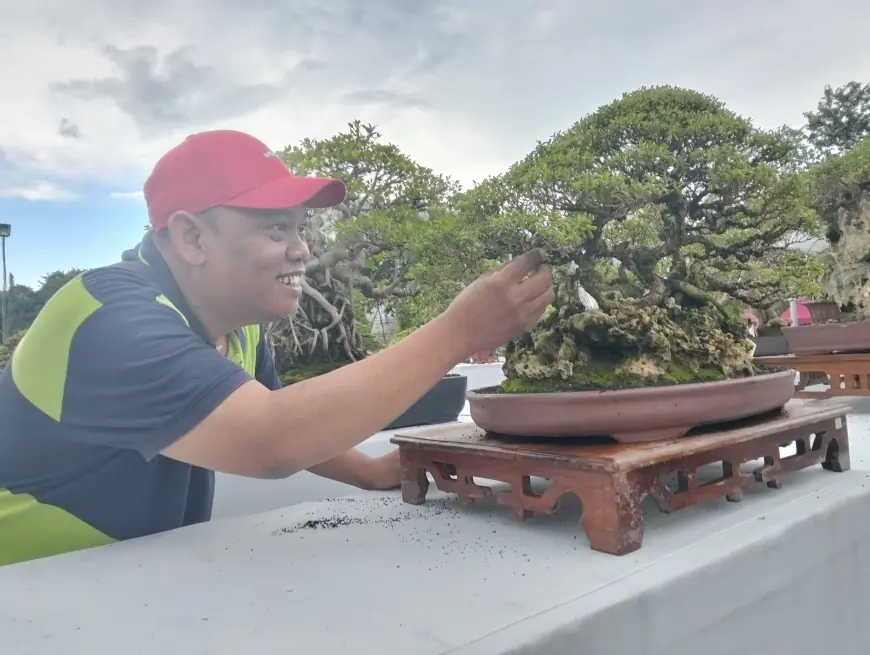 1.001 Bonsai se-Nusantara Beradu Cantik di Depan Kantor Bupati Gresik