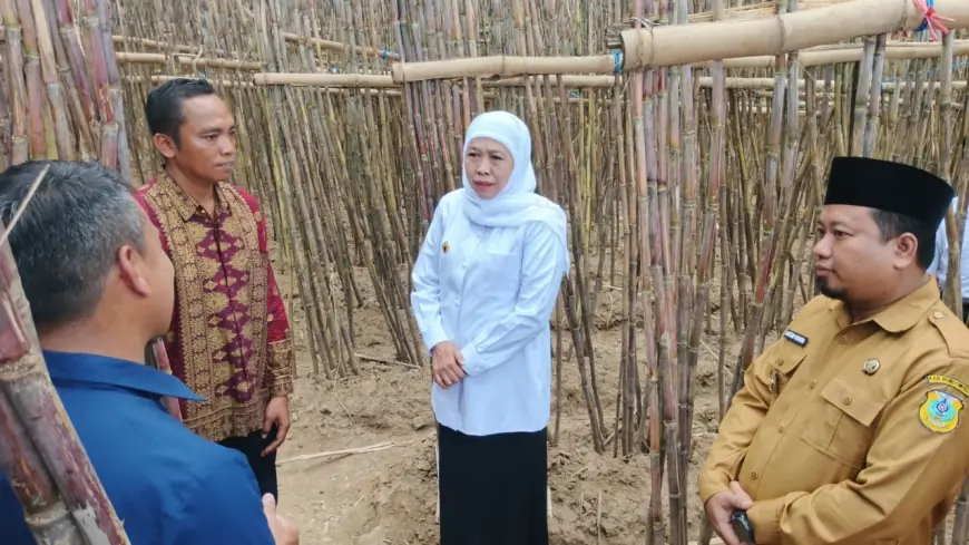 Jawa Timur Pemasok 50 Persen Kebutuhan Gula Nasional