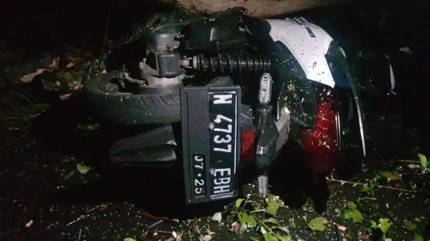 Tertimpa Pohon Saat Hujan dan Angin, Pengendara Motor di Tumpang Luka Ringan