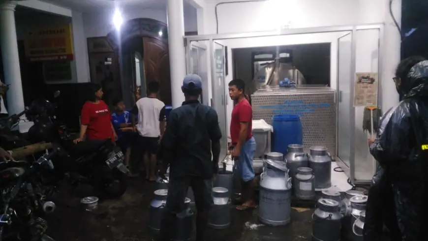 Produksi Susu di Dusun Brau Gunungsari Kota Batu Meningkat 4.000 Persen Pasca Wabah PMK