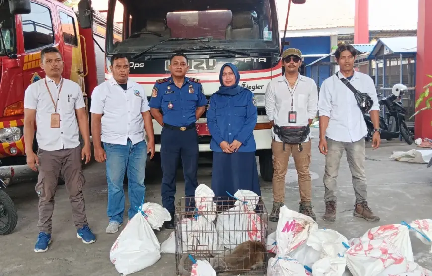 Alih Fungsi Lahan Diduga Jadi Penyebab Puluhan Hewan Liar Turun Gunung di Gresik