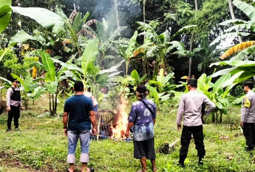 Gagal Bekuk Penjudi, Polres Jember Bakar Empat Arena Sabung Ayam