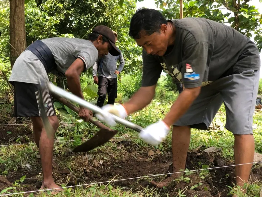 Titik Penemuan Pagar Kerajaan Majapahit di Mojokerto Mulai Diekskavasi