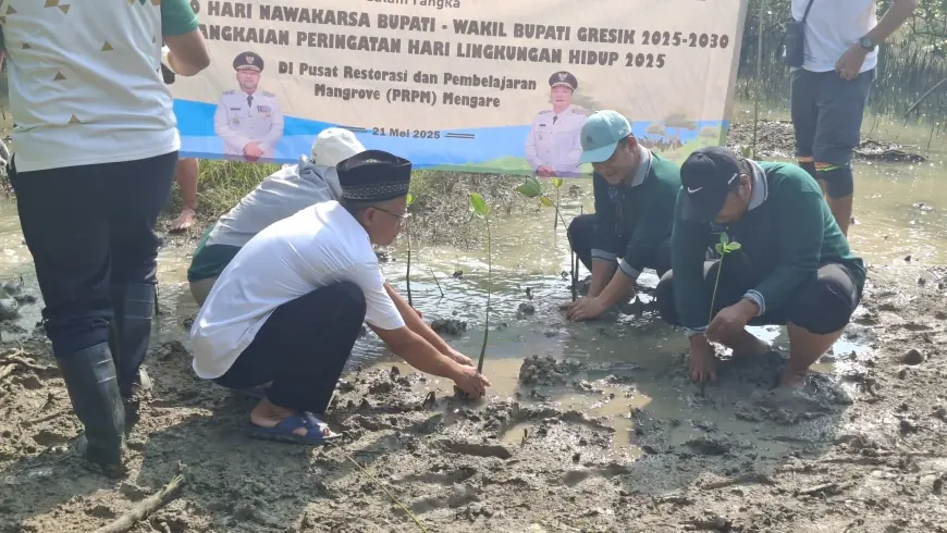 Perbaiki Lingkungan, Pemkab dan PT Petrokimia Gresik Tanam 5.300 Mangrove
