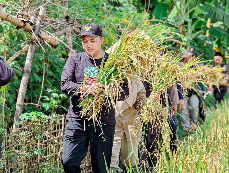 Bupati Pasuruan Apresiasi Penemuan Padi Rendah Gula oleh GP Ansor