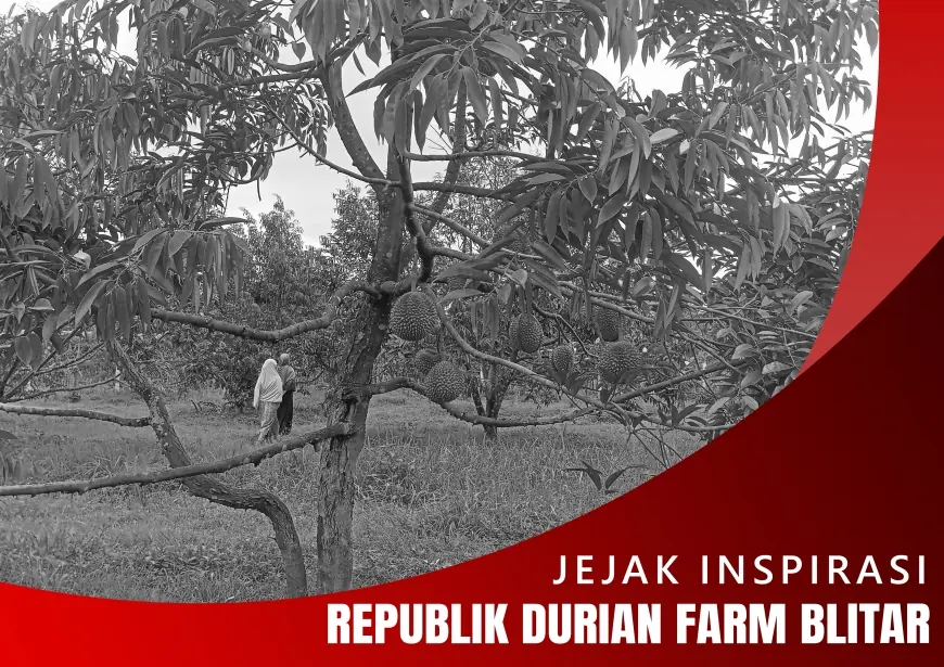 Menjelajahi Republik Durian Farm Blitar: Destinasi yang Menggabungkan Alam, Rasa, dan Inovasi