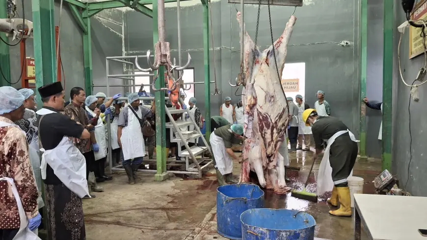Jelang Iduladha 2025, Pemkab Tuban Gelar Pelatihan Juru Sembelih Halal