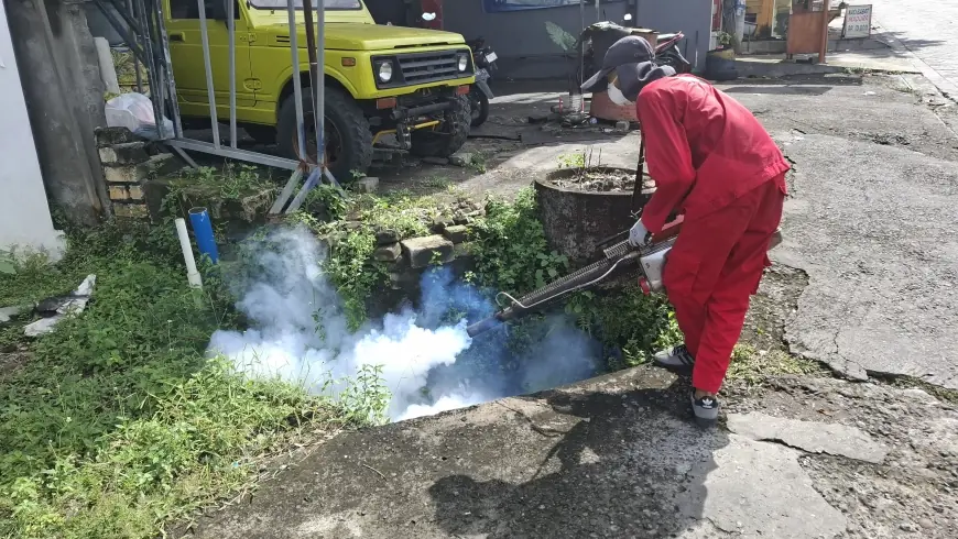 Penanganan Kasus DBD di Gresik Dikeluhkan Warga, Begini Penjelasan Dinkes