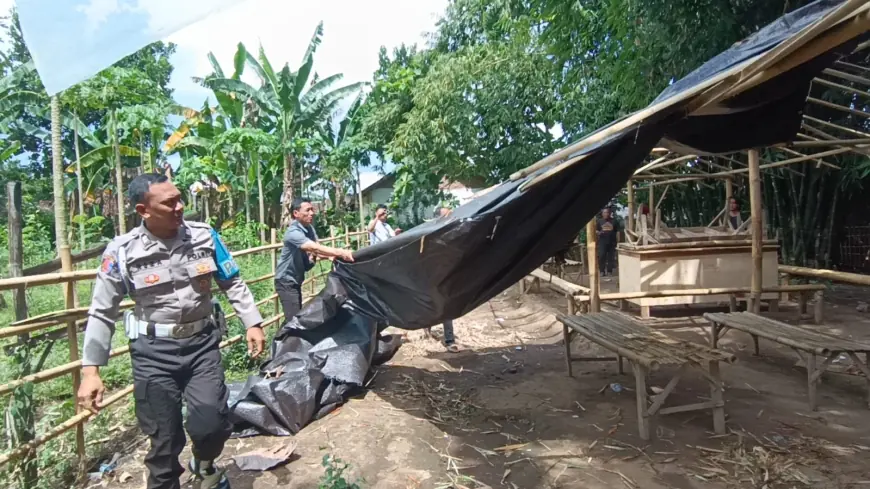 Berantas Perjudian, Polisi Bongkar 5 Arena Sabung Ayam di Jember