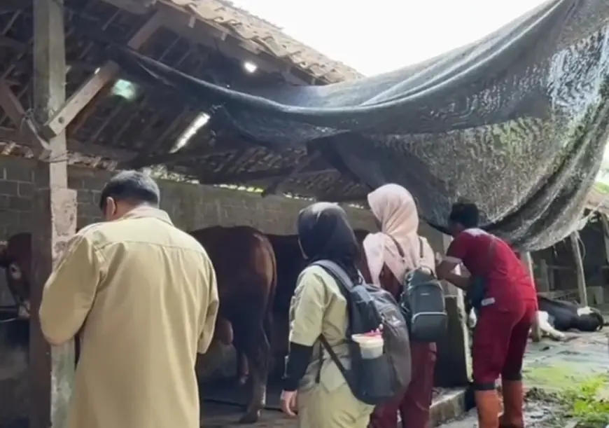 Ratusan Petugas Disebar, Wajib Pastikan Kondisi Hewan Kurban di Blitar dalam Kondisi Sehat