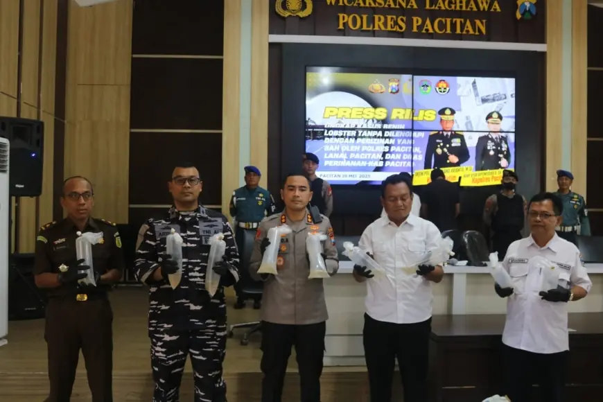 Gagalkan Penyelundupan 27.650 Benur Ilegal, Polres Pacitan Amankan 2 Orang